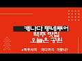 [ENG] 한캐🇰🇷 🇨🇦 국제부부- Vlog- 캐나다 동네투어+ 크리모어 맥주+ 필수코스 공원