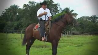 Video voorbeeld van "JORGE ROMERO LA MAÑOSA"