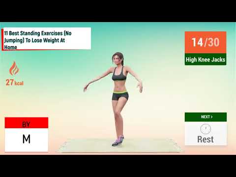 11 Best Standing Exercises No Jumping To Lose Weight At Home/11 საუკეთესო სავარჯიშო ვარჯიში ხტომებ