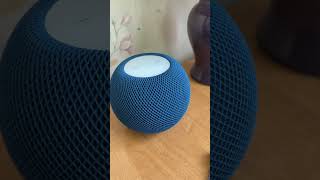 Моя домашняя сеть #smarthome #сеть
