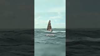 #фильм #фильмы #фильмнавечер #фильмыкоторыестоитпосмотреть