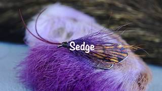 Sedge