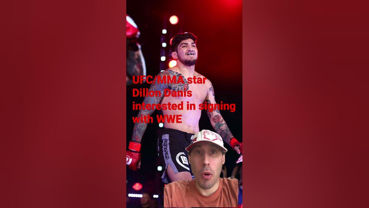 Dillon Danis showing mutual interest in signing with WWE dillondanis 