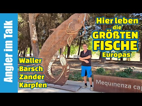 Zum Angeln ausgewandert! 🎣 Jürgen Stegherr hat sein Glück in Mequinenza am Ebro gefunden. 🇪🇸