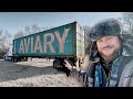 The AVIARY FENCING is here! | building an aviary part 6