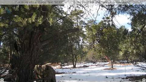 Priced at $55,000 - 000 Parcel 3, Overgaard, AZ 85...