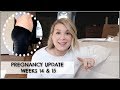 PREGNANCY UPDATE // WEEKS 14 &amp; 15 // SYMPTOMS // SECOND BABY