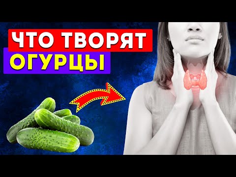 Польза огурцов для организма человека, вред, как влияют