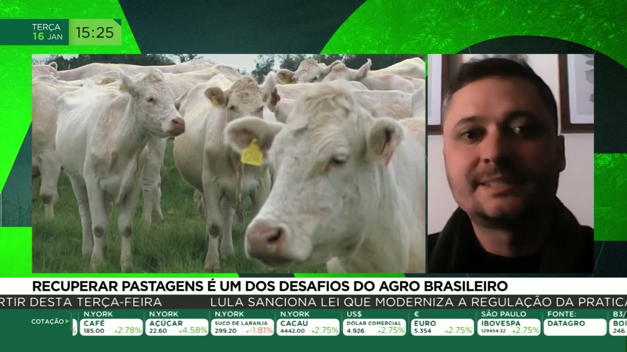 Recuperar pastagens é um dos desafios do agro brasileiro