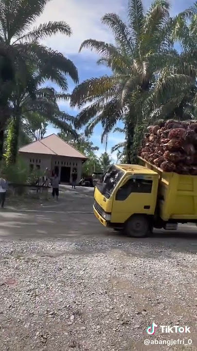 ragasa dump truck muat sawit #shortvideo #trending #viral #youtubeshorts #tiktokvideo #truck #reels