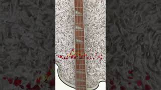 Rickenbacker 4001 Stereo bass 1976 Rickenbacker 4001 Stereo bass 1976
