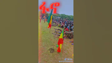 ምርጥ የፋኖ ሙዚቃ Best Fano Music 