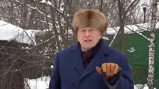 Последнее видео Жириновского
