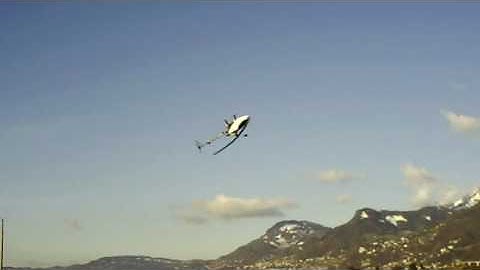 Align T-Rex 600 CF inverted 3D in Switzerland