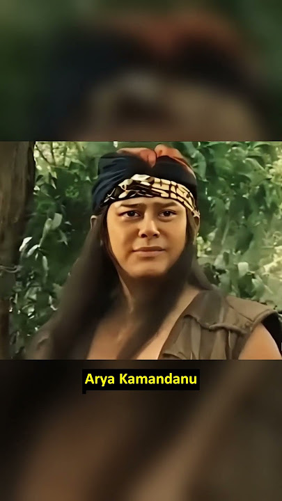 Kebenaran Sejati Itu Yang Siapapun Tidak Bisa Menolaknya, Arya Kamandanu #quotes #kutipan #shorts