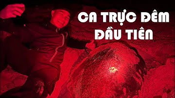 bảo tồn rùa biển Côn Đảo 1/4 | ca trực đêm đầu tiên | hòn Bảy Cạnh | IUCN