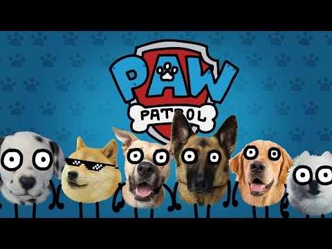 Video: Hvem er den mest populære Paw Patrol-karakter?