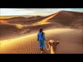 Cafe De Anatolia - Best Of Ethno World 2020 (Ethnic Deep Slow House Mix) Oriental Lounge Music