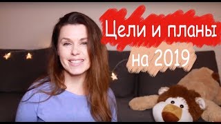 Жизнь иммигранта продолжается. Планы и цели на 2019.