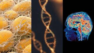 I'm Fat Because of my Genetics - the Real Genetics and Epigenetics of Obesity