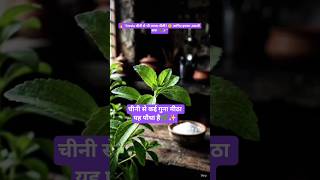 🔥 “Stevia चीनी से भी ज्यादा मीठी? 😲 जानिए इसका असली सच! 🌿✨! #shorts #ytshorts #HealthyGyan9