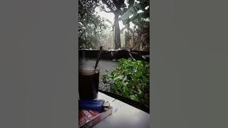 SATRIYO PINILIH#PUTRA_LAWU