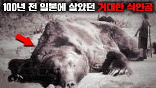 일본 역사상 최악의 맹수 피해로 기록된 '거대 식인곰 산골마을 습격 사건' [사건사고]