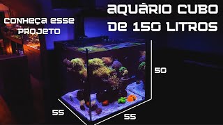 Esse aquário não é grande e nem pequeno, conheça o projeto 55x55x50 da loja Piratas de Aquário