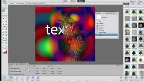 Photoshop elements : Create distortions / displacements of images etc