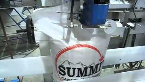 Pacepacker Total Bag Control System On Woven Poly Bags (WPP)