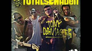 Totalschaden(Single) - Komm rein