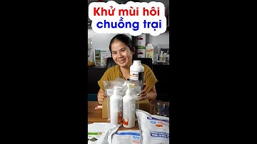 Cách để khử mùi hôi chuồng trại, giảm bệnh hô hấp