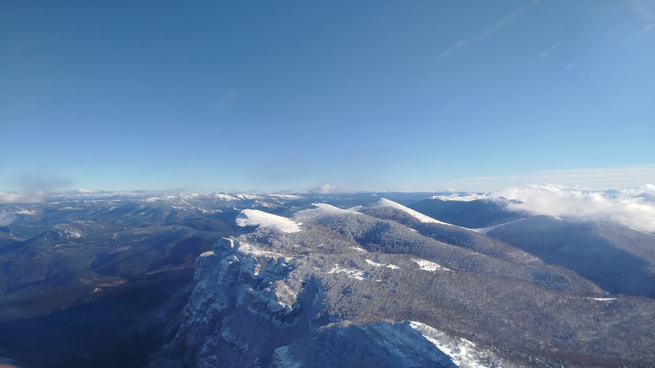 Film Vol 2026-01-29 Marc