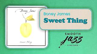 Boney James - Sweet Thing (Official Visualizer/Smooth Jazz Vineyard)