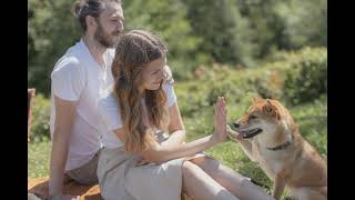 The Best Pet Insurance for Dogs: A Complete Guide