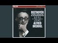 Miniature de la vidéo de la chanson Sonata No. 17 In D Minor, Op. 31 No. 2 "Der Sturm": Iii. Allegretto
