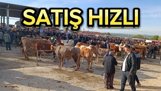 SORGUN HAYVAN PAZARI 2. BÖLÜM/KURBANLIK FİYATLARI/LİVESTOCK BAZAAR