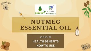 Nutmeg Essential Oil - Amazing Benefits |  Uses | Immunity