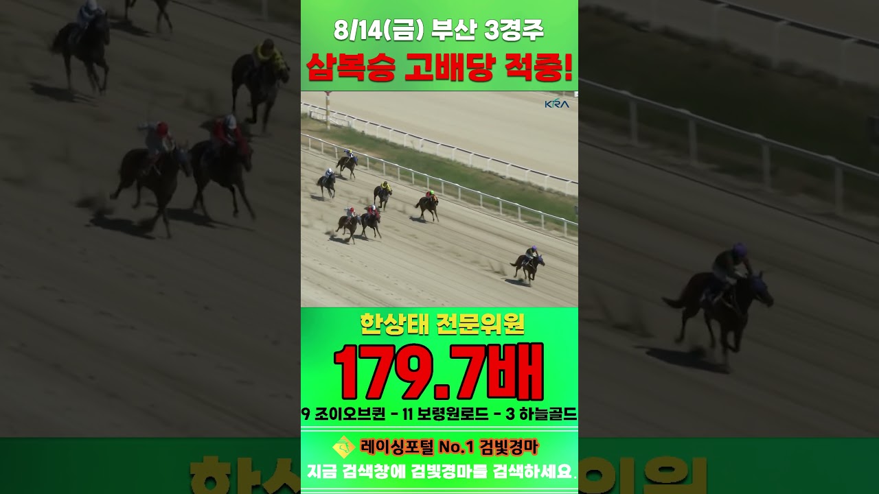 [부산 경마] 8월 14일 금요 3경주 한상태 전문위원 삼복승 고배당 적중 #경마 #automobile #한국마사회 #horse #하이라이트 #horseracing #비트코인#게임