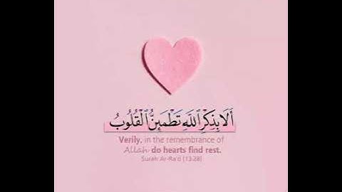 سوره عبس  بصوت الاستاذ ياسر الديب