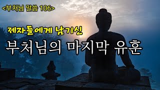 부처님의 마지막 유훈 #부처님 #진리 #인생