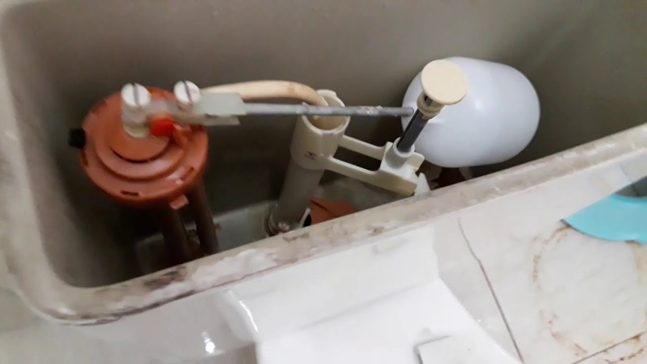 Como Tirar Parafuso Da Tampa Do Vaso Sanitario