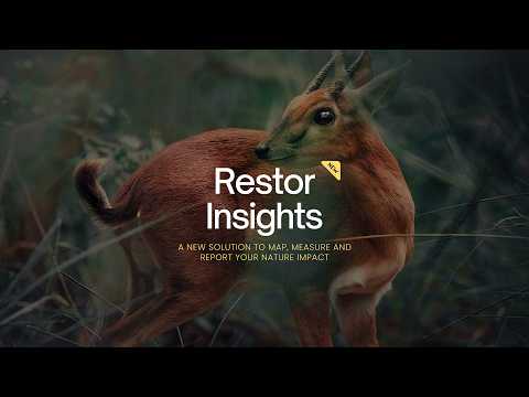 Track and Prove Your Impact with Restor Insights