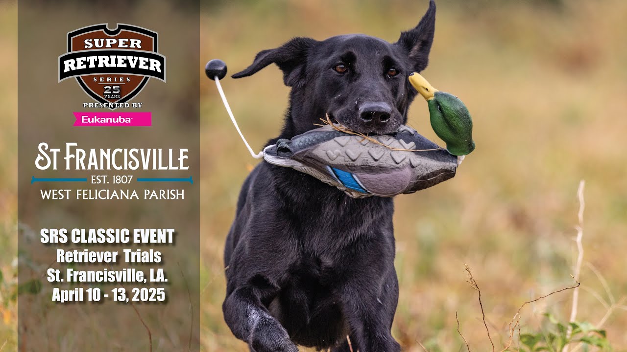 2025 SUPER RETRIEVER SERIES CLASSIC - SERIES 3