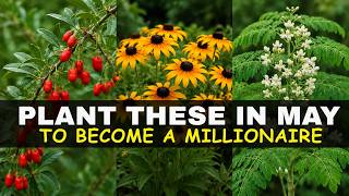 Plant Once in May, Harvest Forever: The Low-Effort Garden