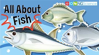 All About Fish