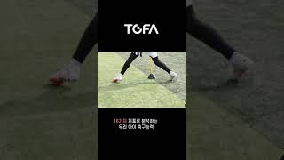 Tofa Shorts 홍보영상