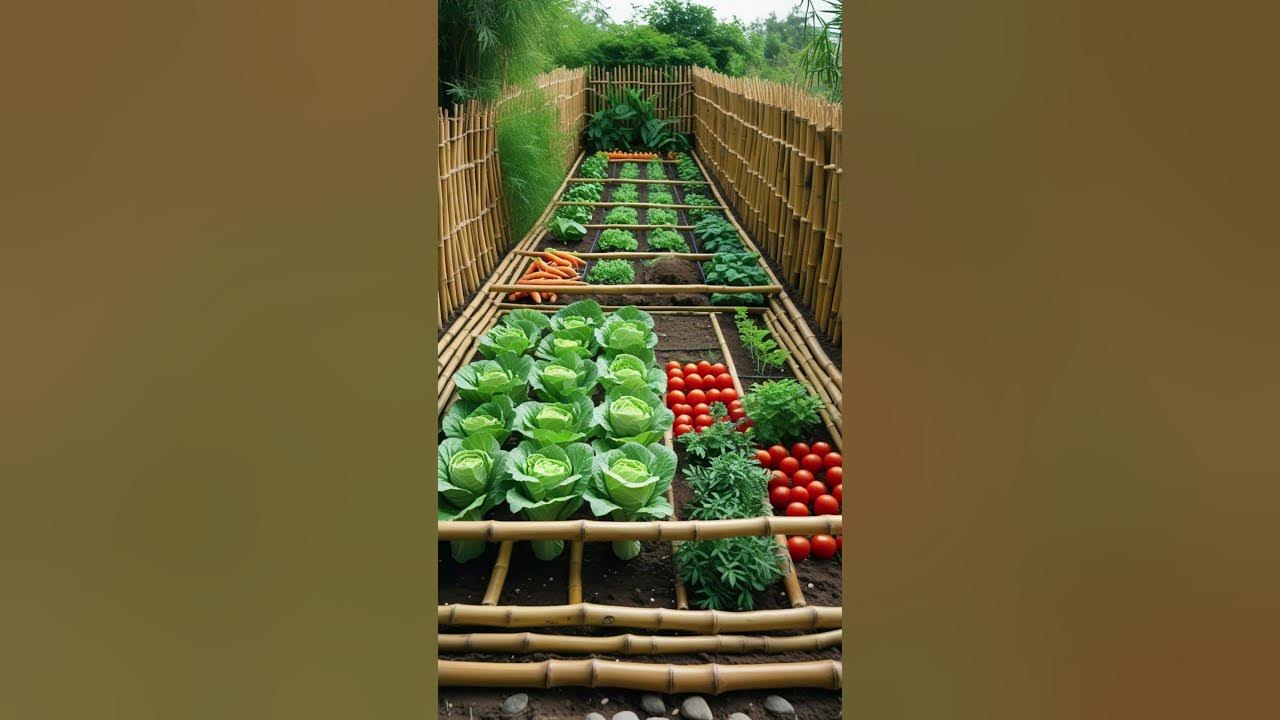 Organized Bamboo Garden – A Neat & Natural Vegetable Farm. #campping