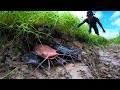 Best hand fishing - catch underground monster catfish in dry season by technique hand a fisherman
