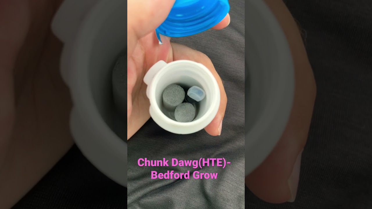 Chunk Dawg(HTE)- Bedford Grow